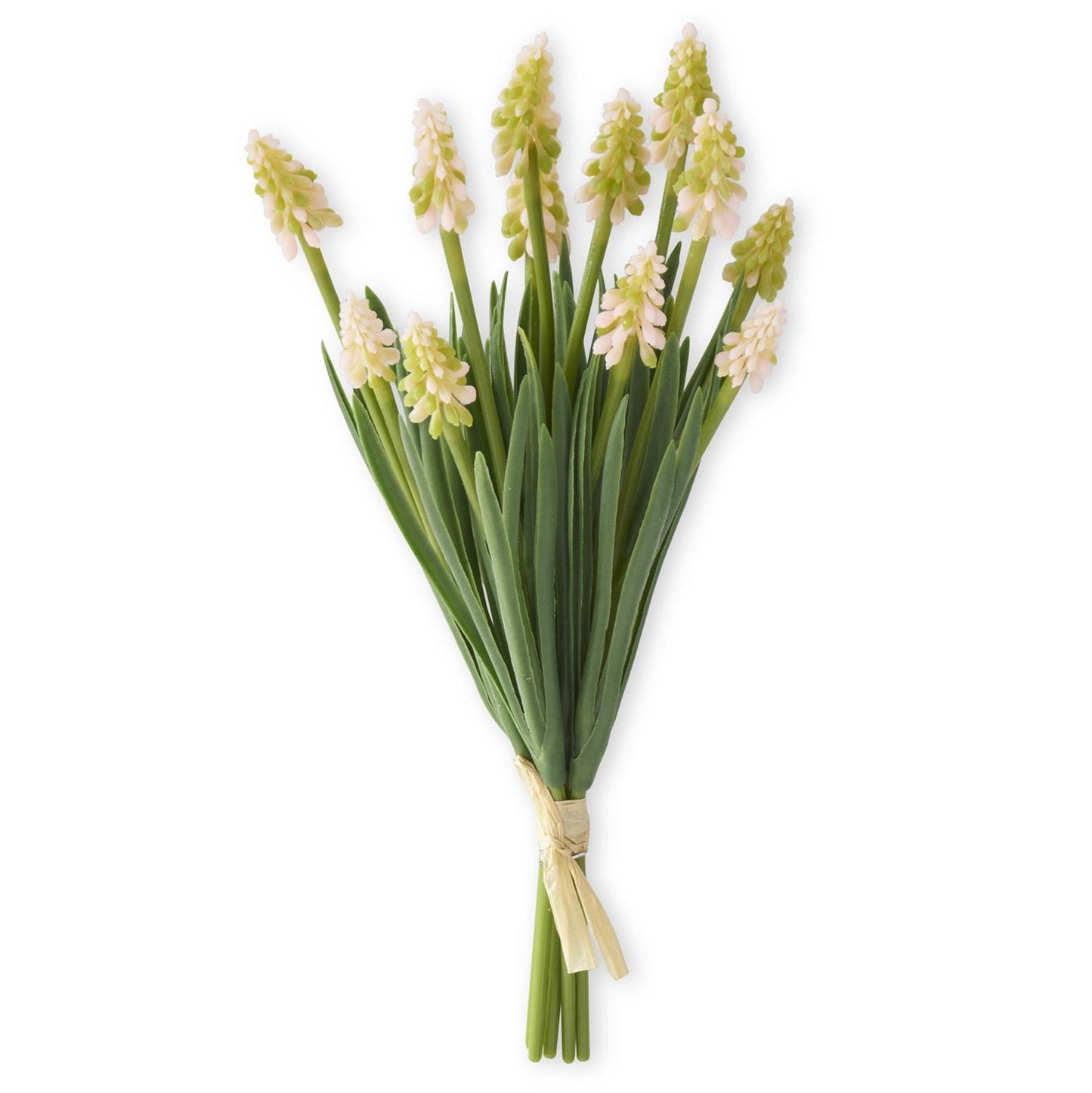 10.5 Inch Light Pink Grape Hyacinth Bundle (6 Stem)