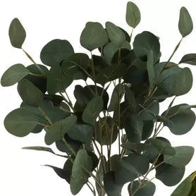 Artificial eucalyptus branch with close-up detail on a white background