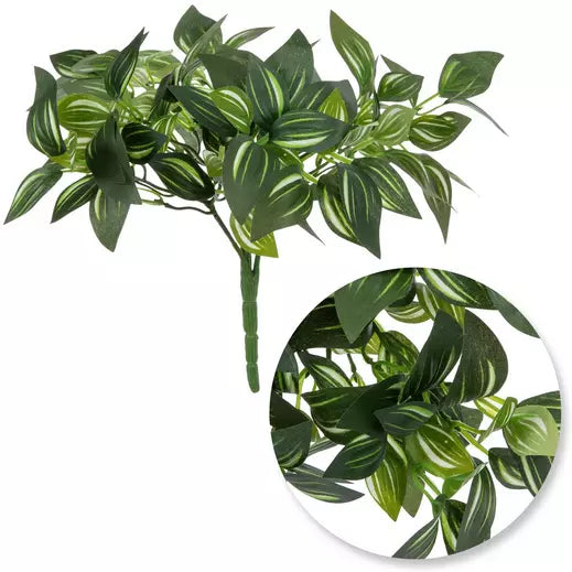 Dracaena Leaf Bush 8 Inch