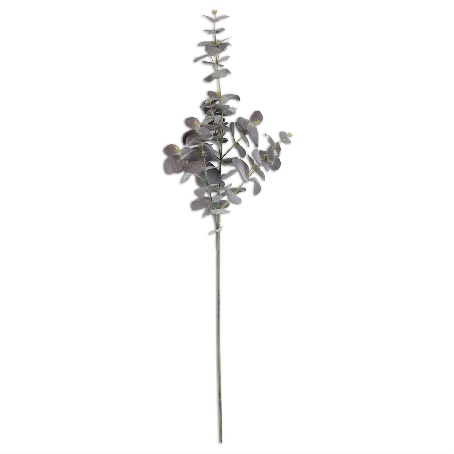 Powdered Purple Eucalyptus Spray 39"