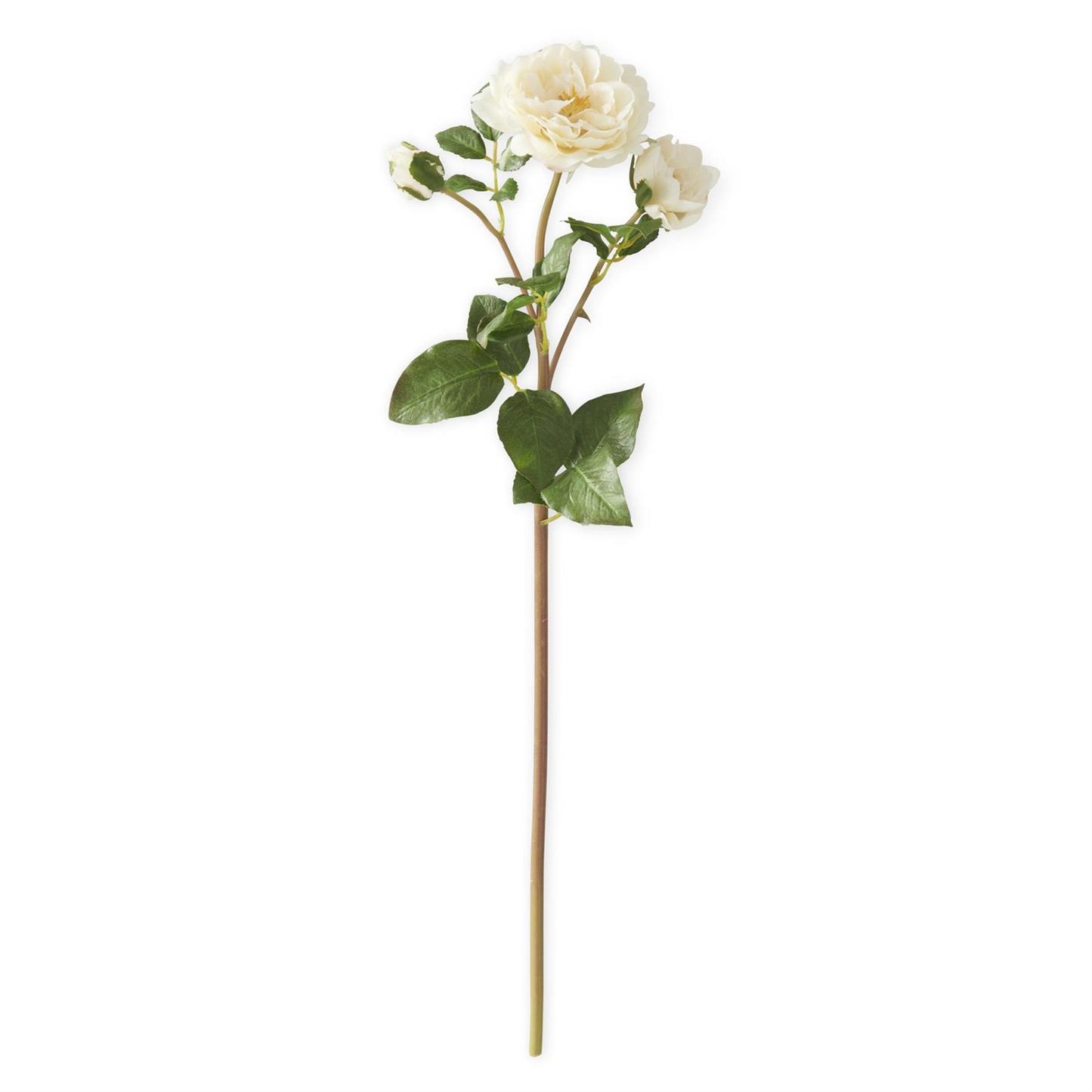 Cream Real Touch Distant Drums Rose Spray 20 Inch
