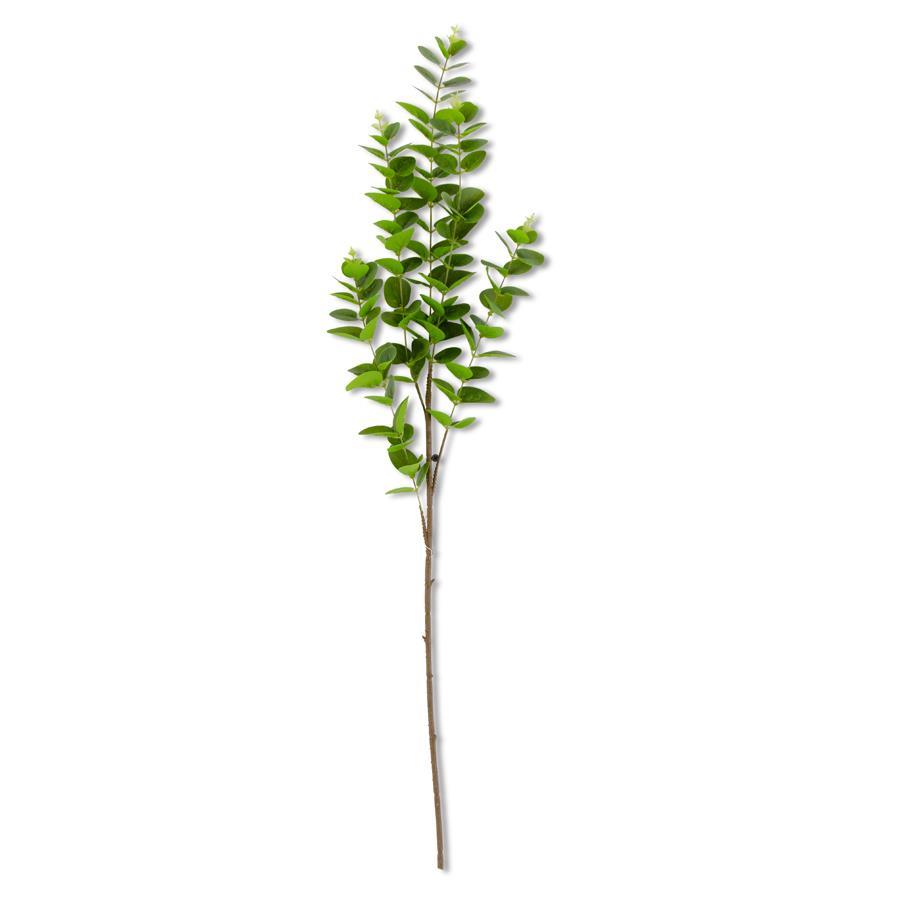 Dark Green Gunnii Eucalyptus Stem 38 Inch