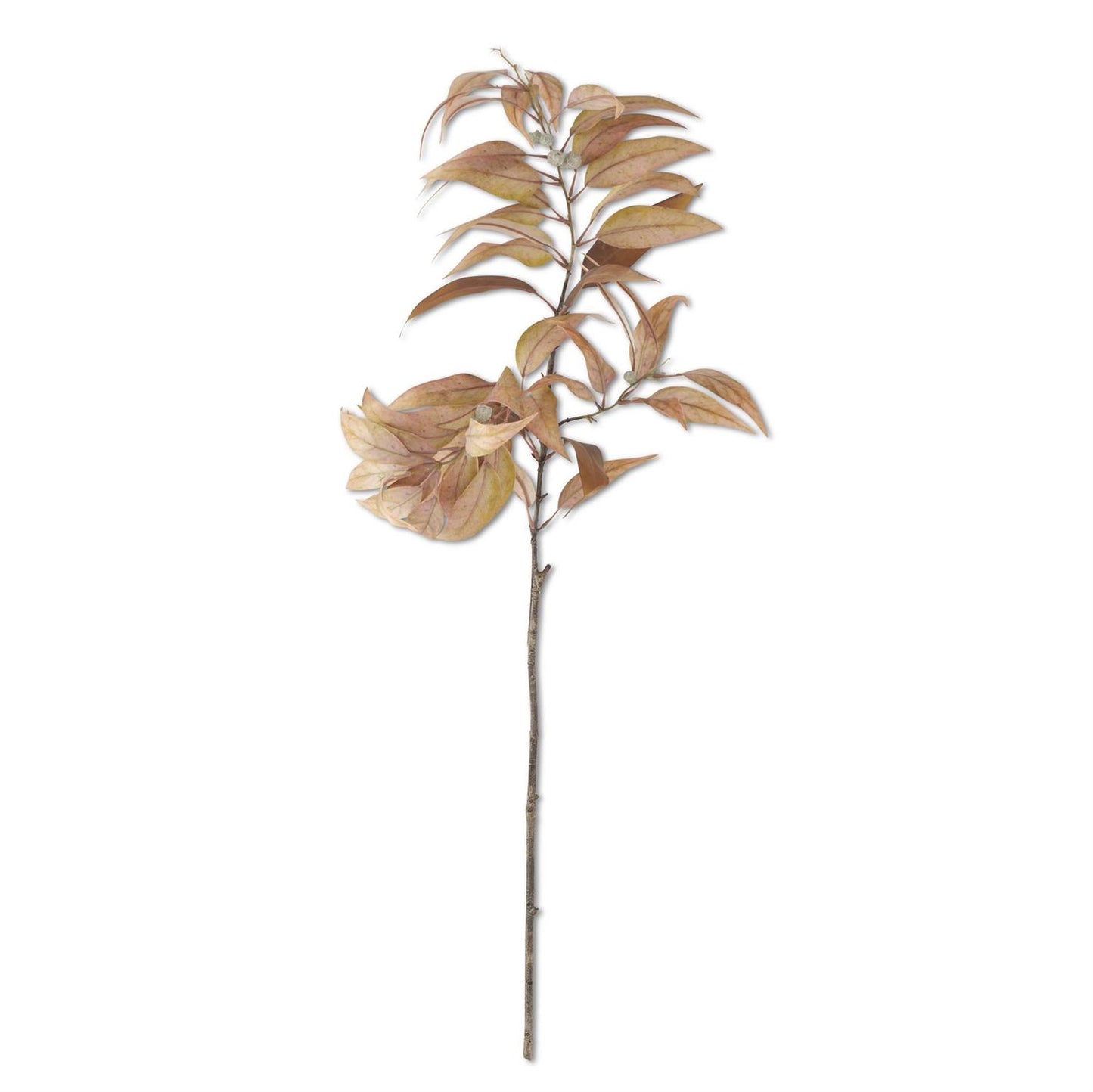 48-inch light yellow eucalyptus branch with pods for fall wreaths and floral arrangements.