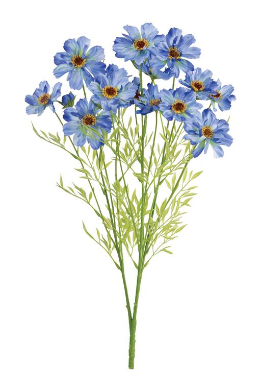 COSMOS BUSH X3, 23", BLUE/PURPLE