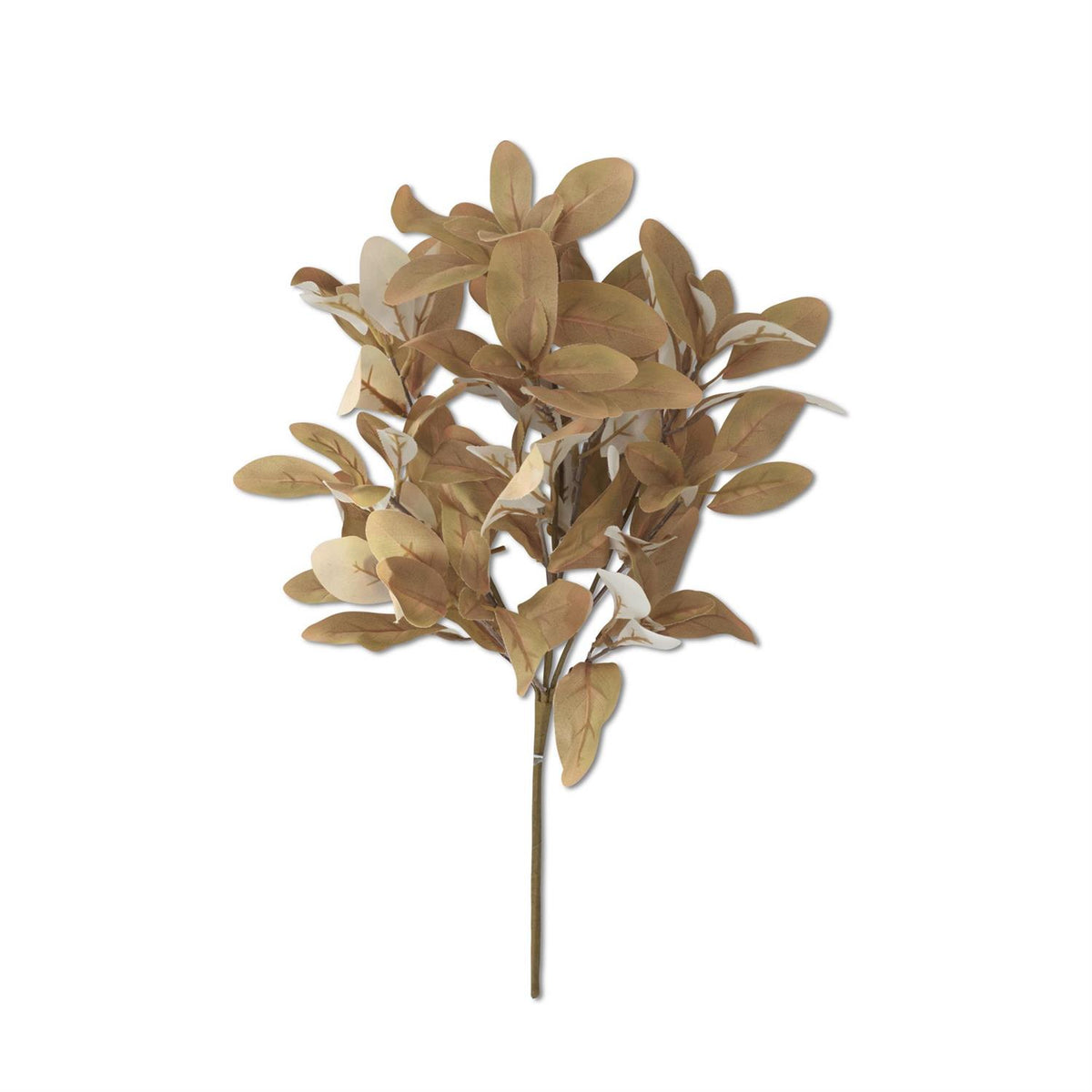 18.5 Inch Yellow Green Laurel Bush
The perfect filler stem for every season.