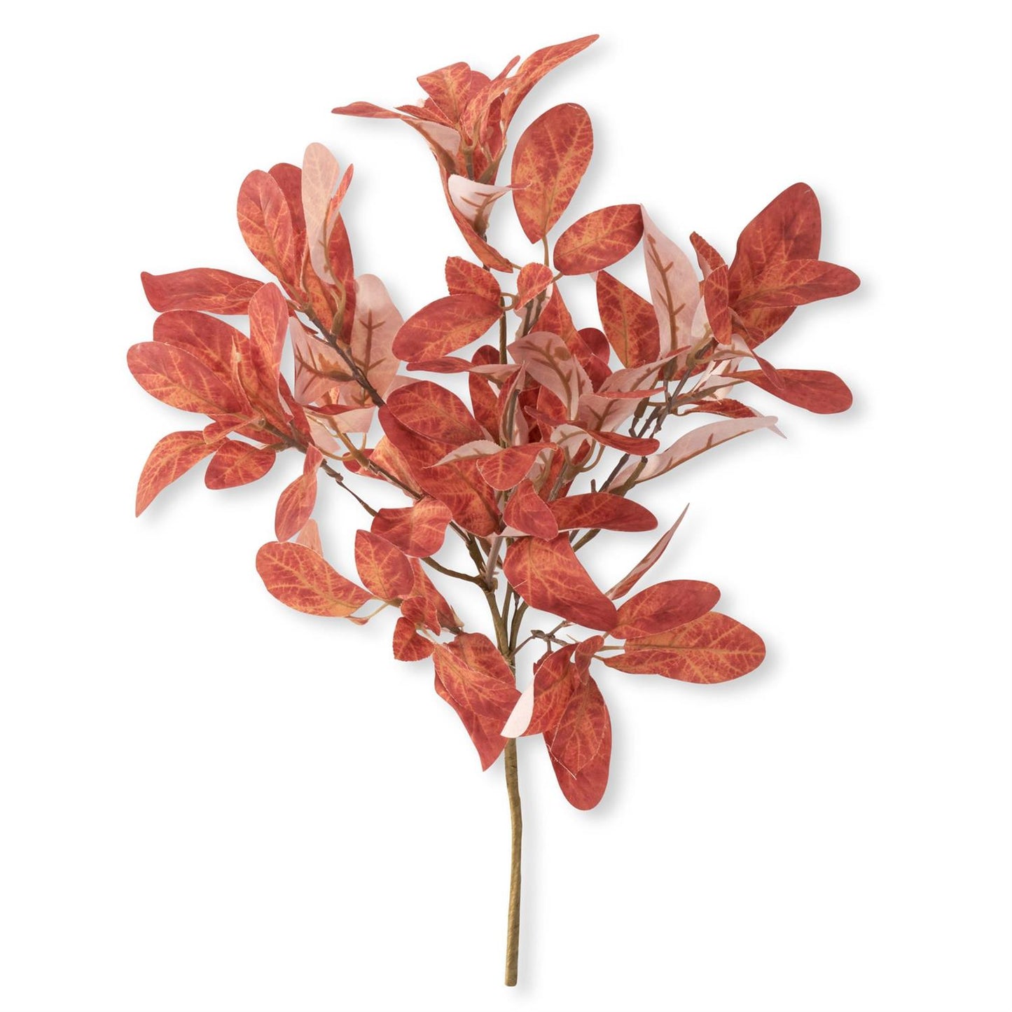 18.5-inch artificial orange laurel bush with dense variegated oval leaves on a white background