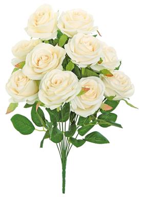 BRIDAL ROSE BUSH X9, 18"; 3" BLOOMS, CANDLELIGHT 35% off
