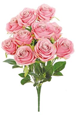 BRIDAL ROSE BUSH X9, 18"; 3" BLOOMS, DARK PINK 35% off