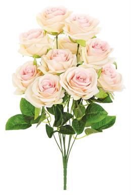 BRIDAL ROSE BUSH X9, 18"; 3" BLOOMS, PINK/CREAM 35% off