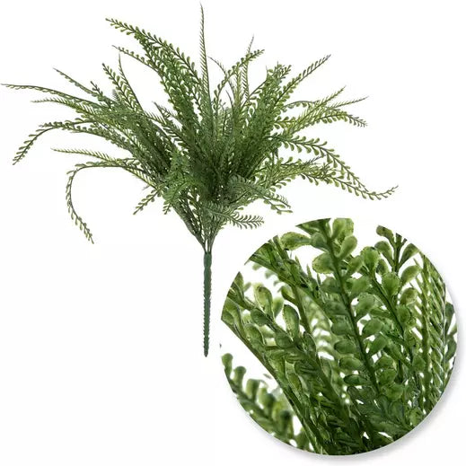 Bead Grass Bush