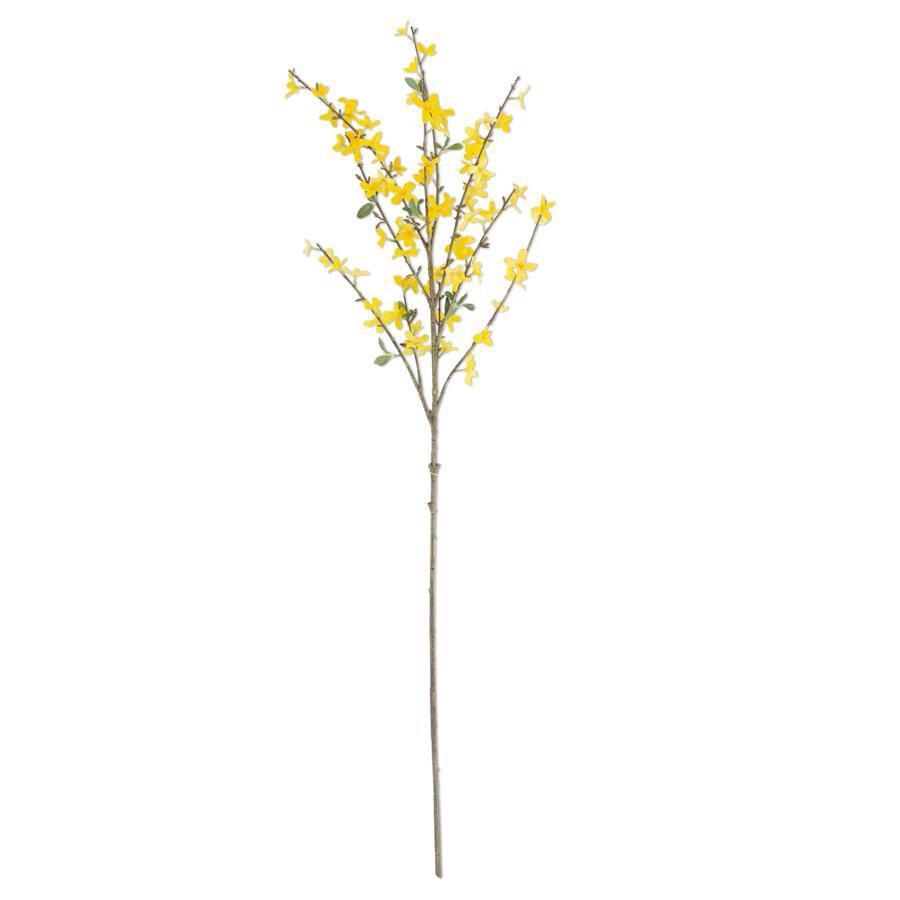 44 Inch Forsythia Stem 40% off
