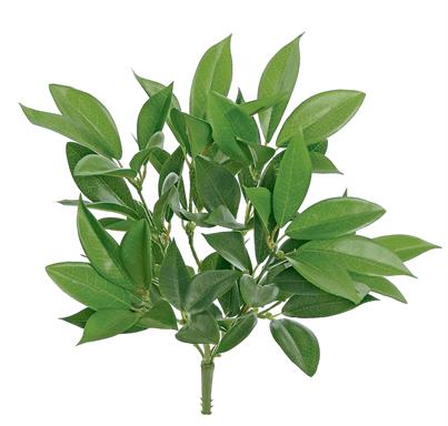 SHIKIBU FOLIAGE BUSH X5, 12"; GREEN
