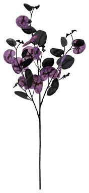 Eucalyptus, 27", Purple/Black