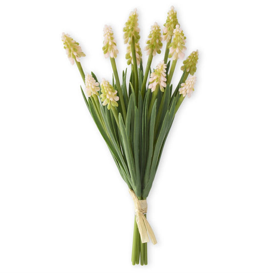10.5 Inch Light Pink Grape Hyacinth Bundle (6 Stem)