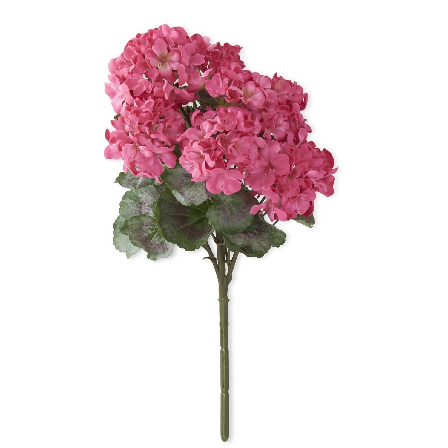 Pink Geranium Bush
