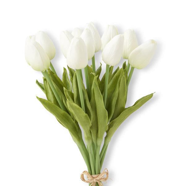Bouquet of white tulips tied with a string on a white background