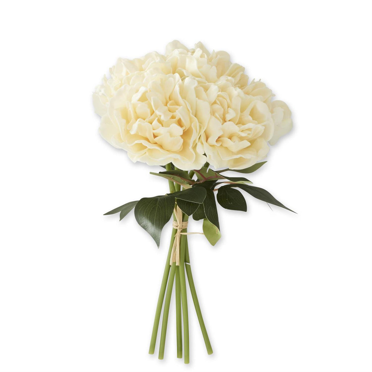 Bundle of 5 cream real-touch peony stems with green foliage