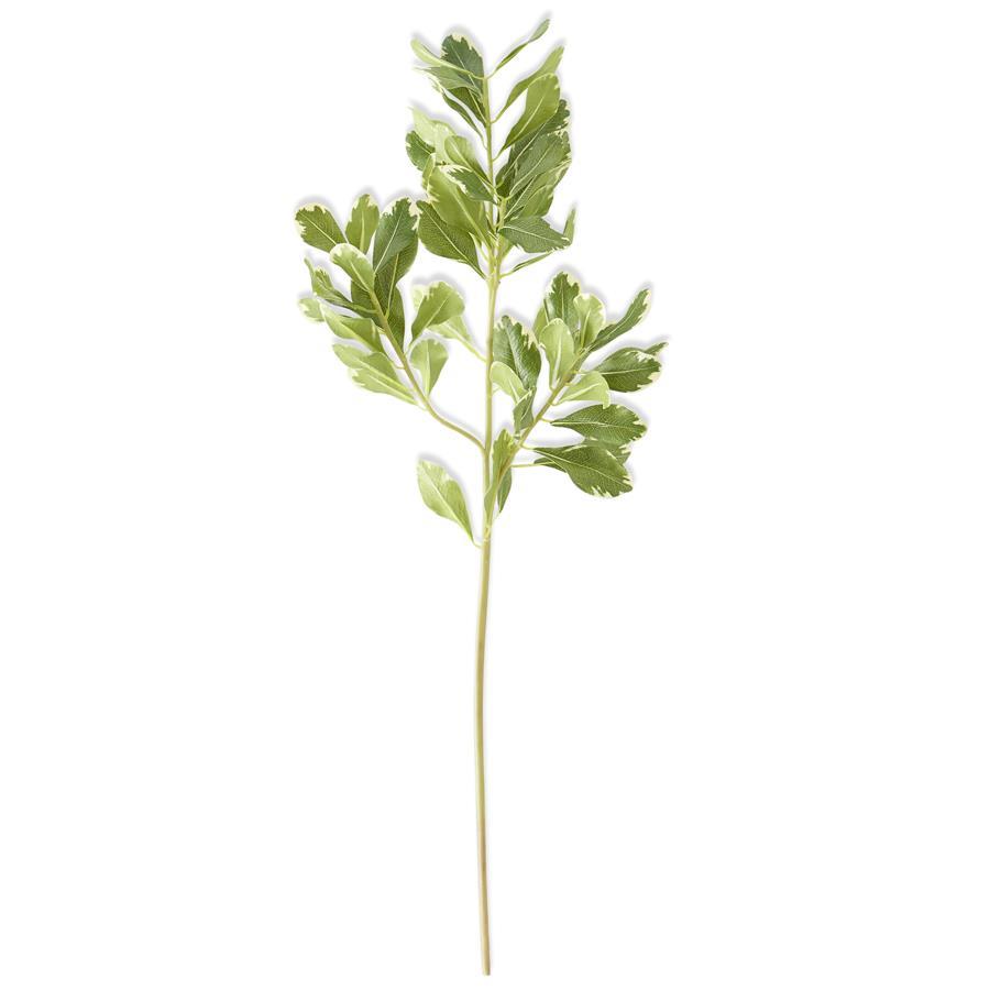 28 inch, faux pittosporum, green foliage, wreath making and floral arrangements.