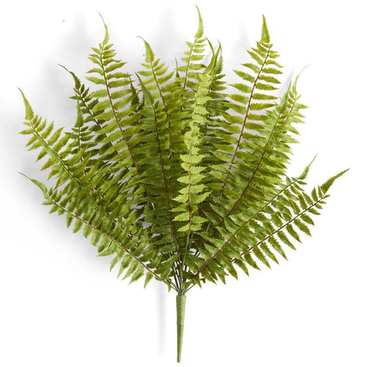 24 Inch Fern Bush