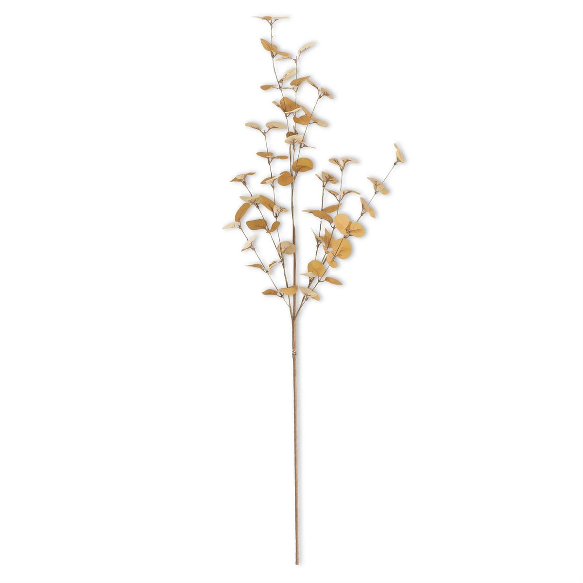 34" two-tone dark yellow eucalyptus stem brings warmth, length, and natural texture to any fall wreath or arrangement