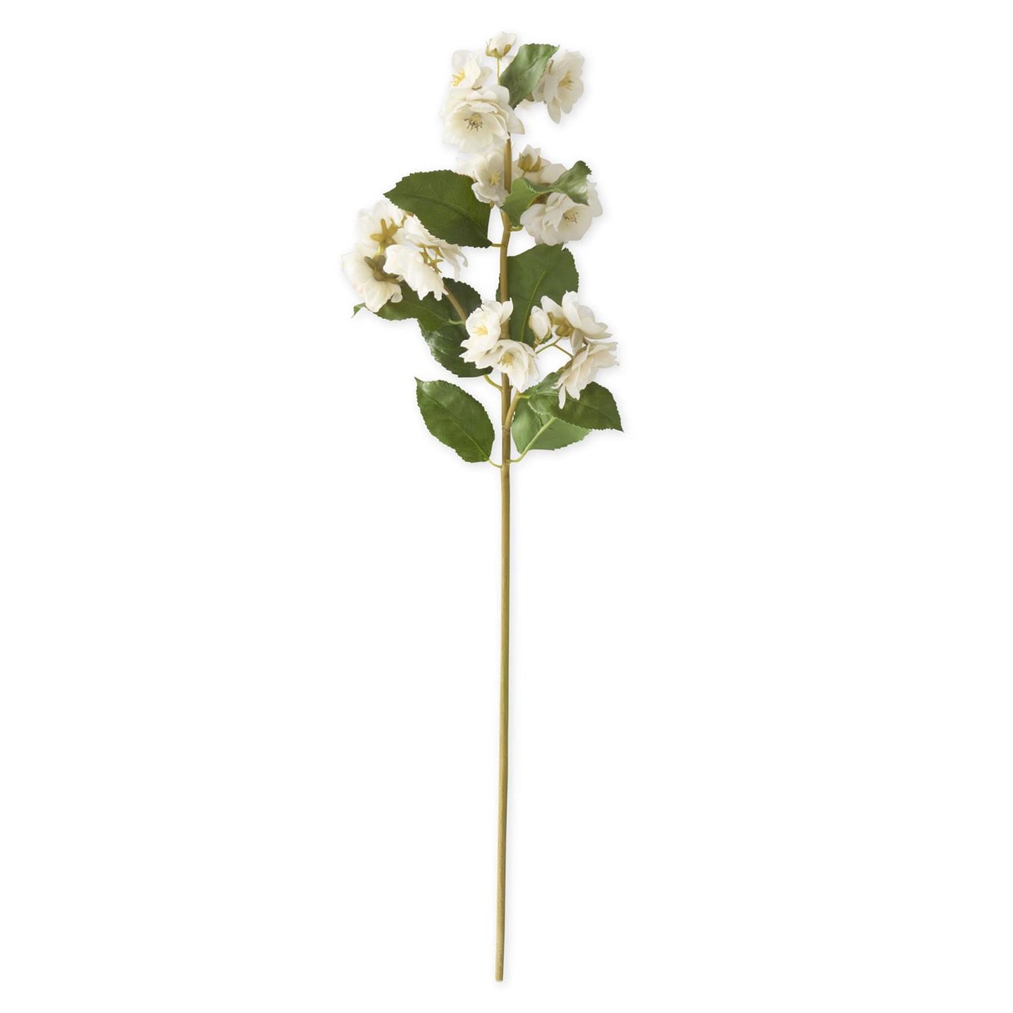 23.5 Inch Cream Real Touch Blossom Stem