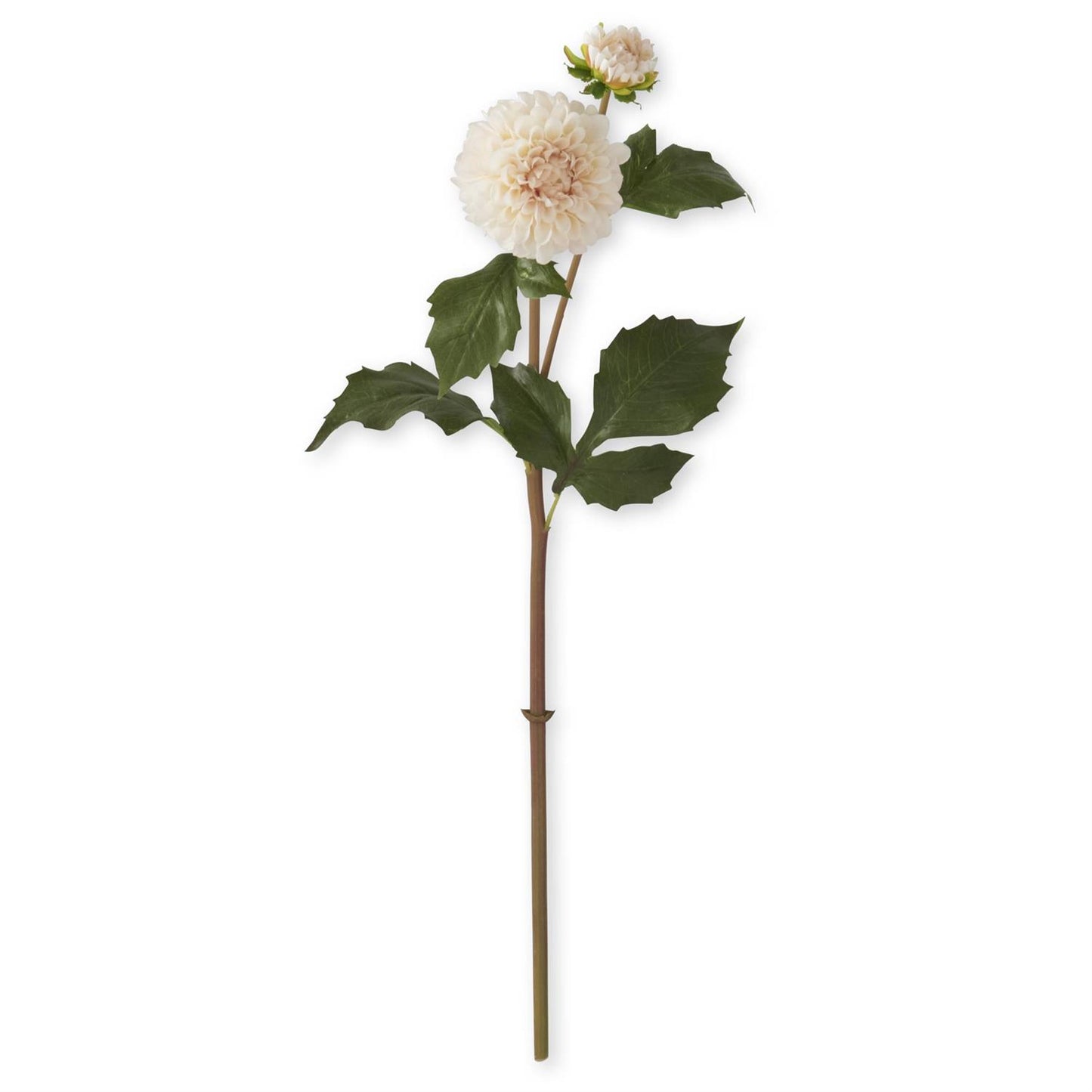 20 Inch Cream Real Touch Dahlia Bud & Bloom Stem 30% off