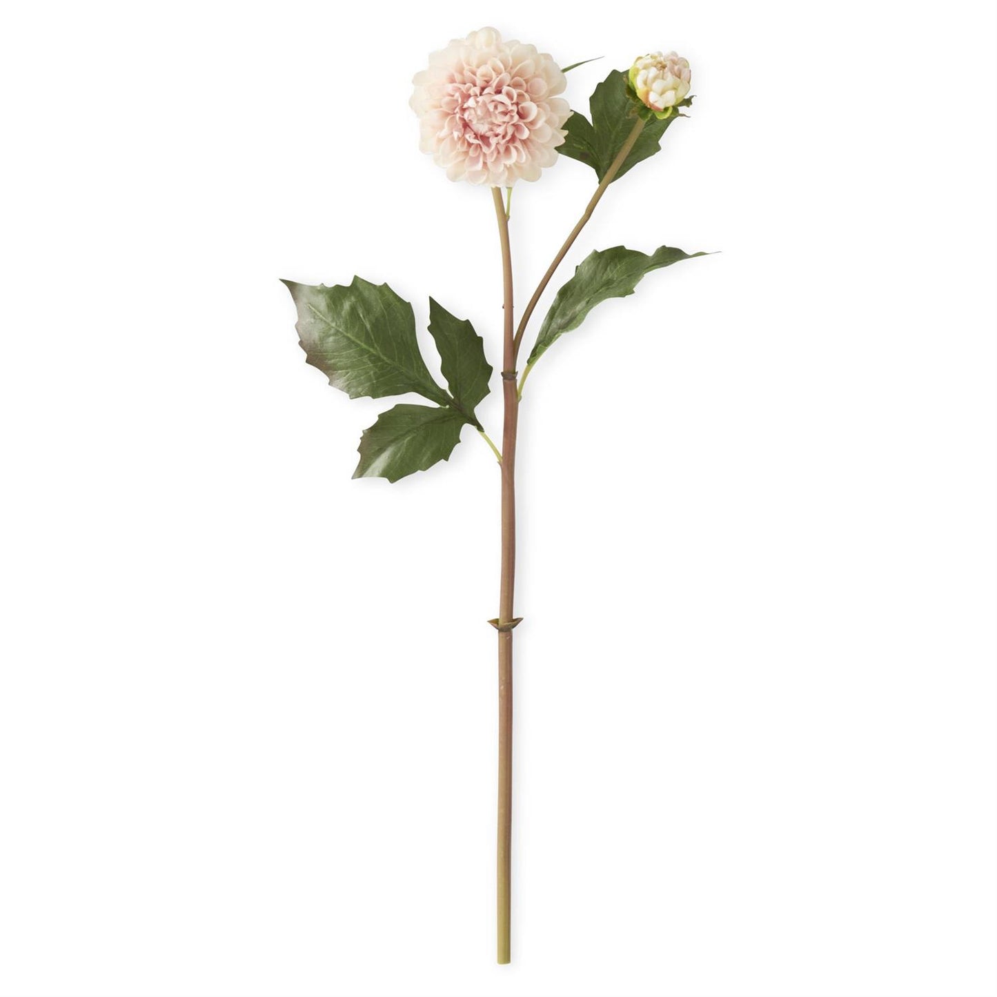 20 Inch Light Peach Real Touch Dahlia Bud & Bloom Stem 30% off