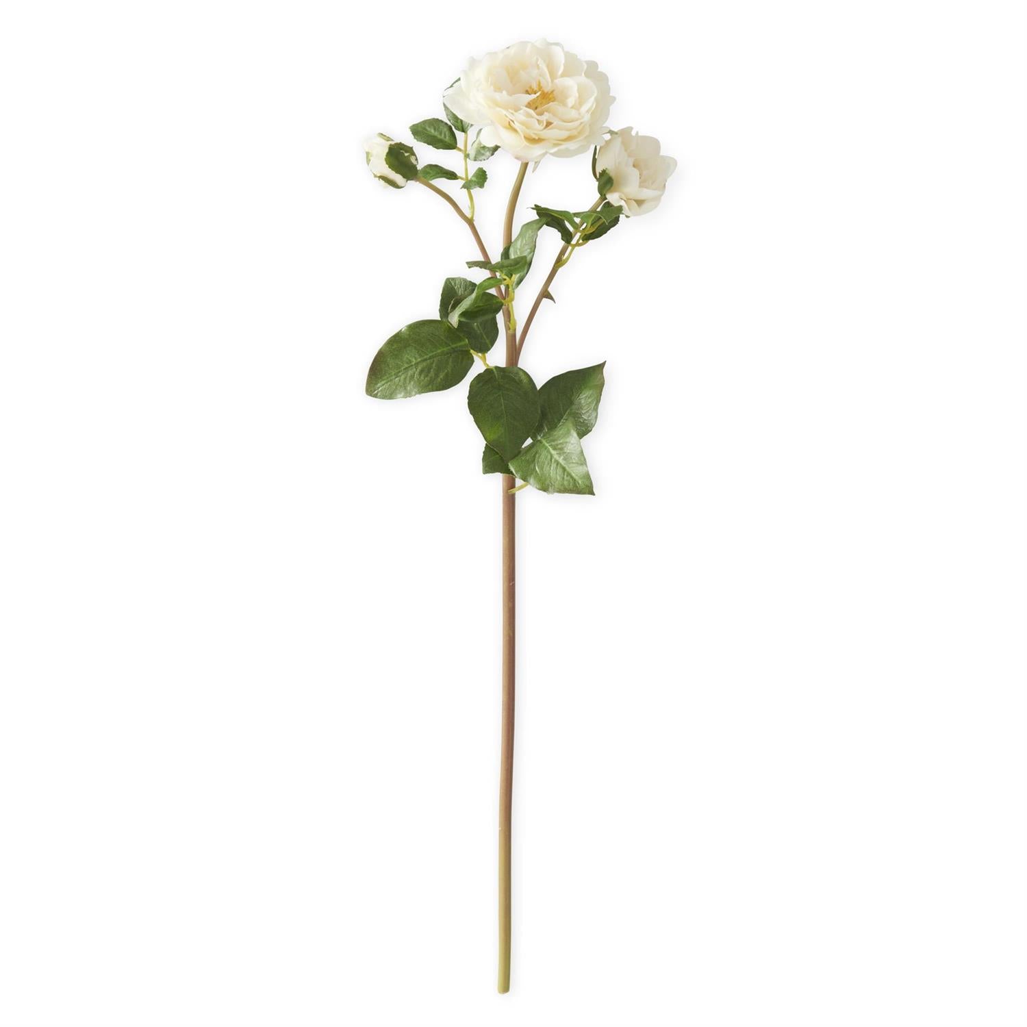 Cream Real Touch Distant Drums Rose Spray 20 Inch