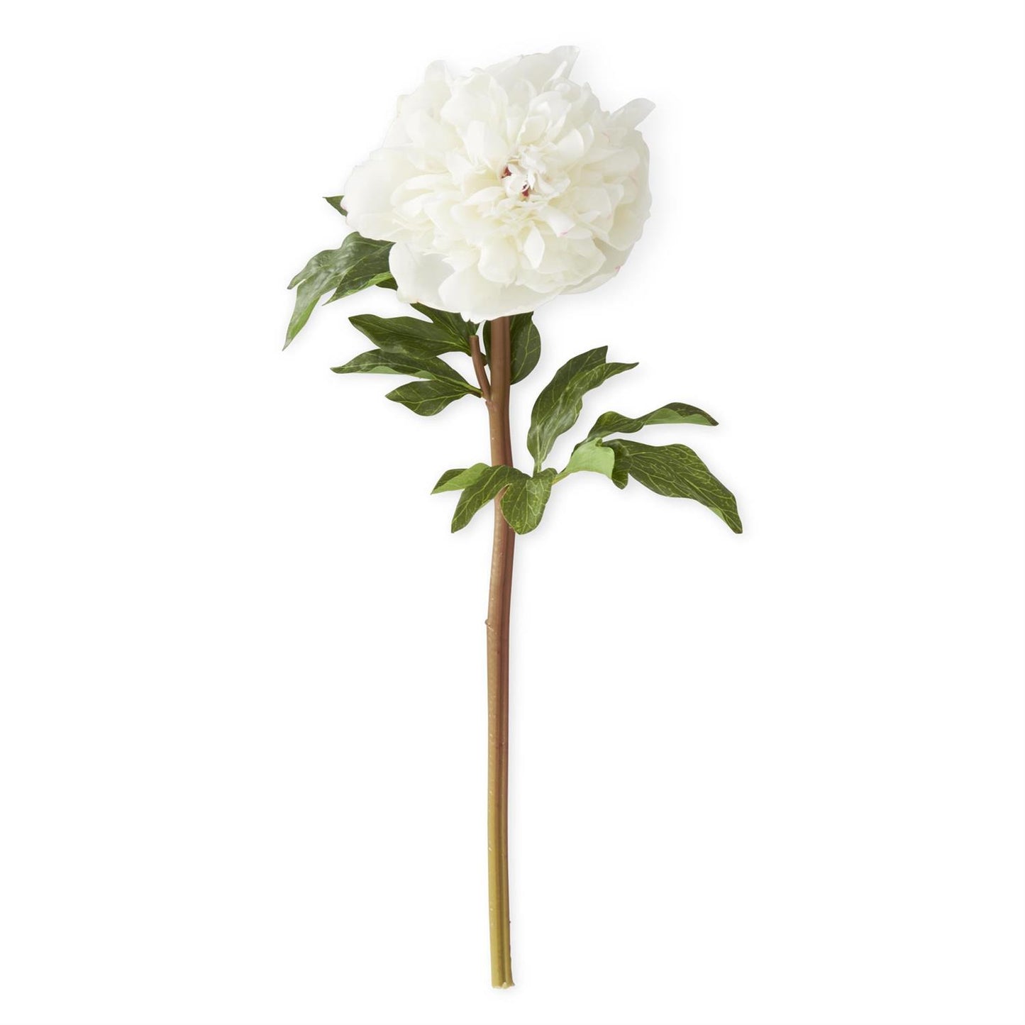 White Charm Real Touch Peony Stem 21.5 Inch