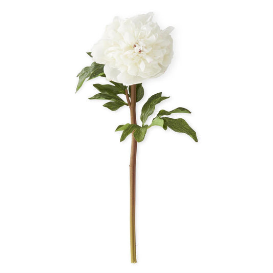 White Charm Real Touch Peony Stem 21.5 Inch