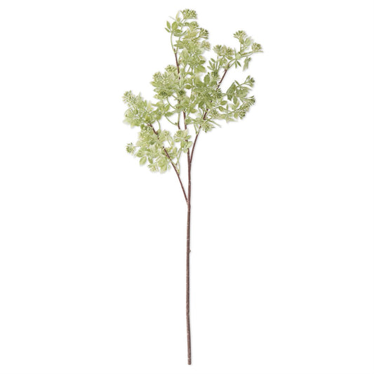27 Inch Hoary Cress White Bud Spray