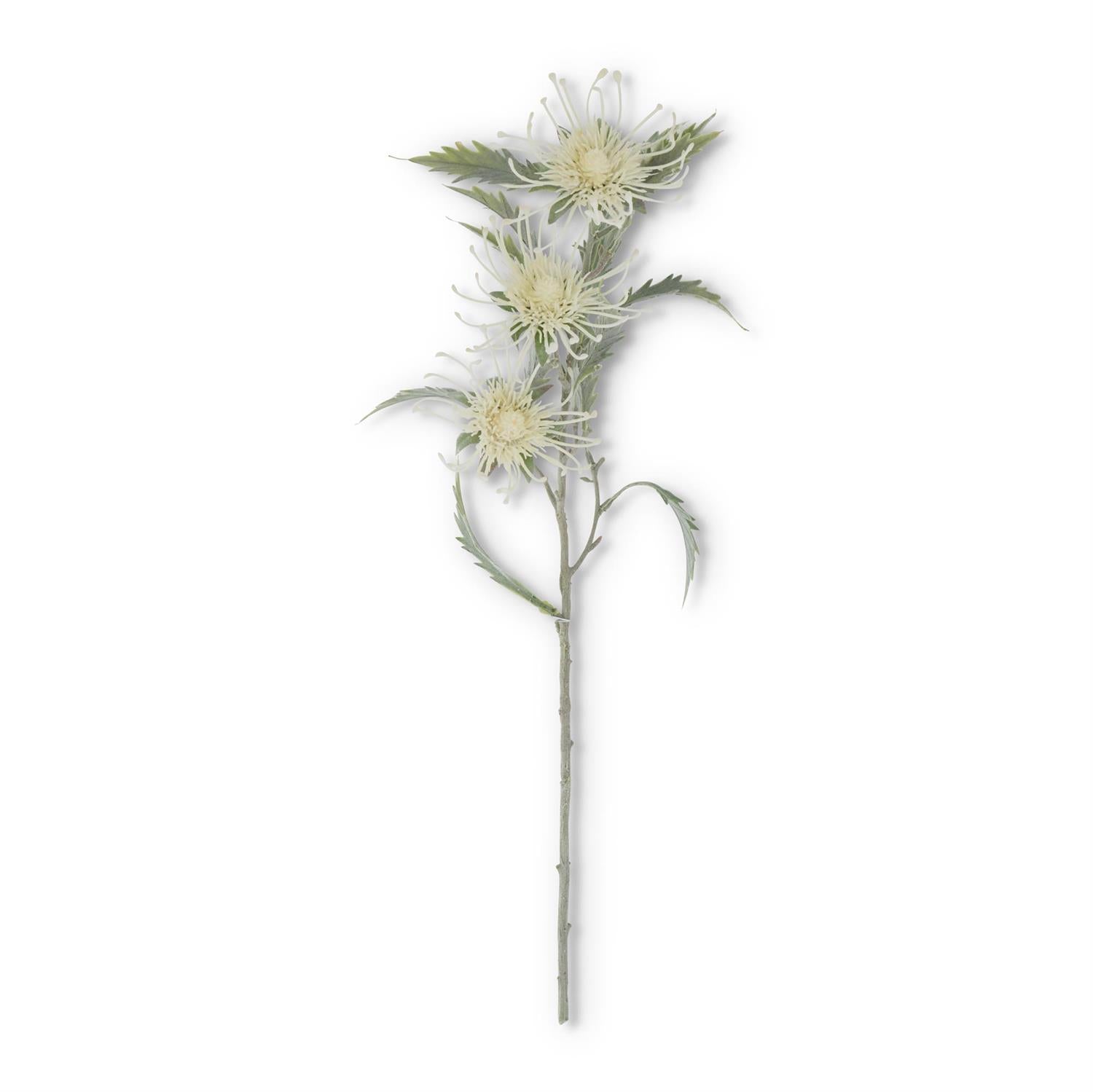 Head Flocked Thistle Stem with 3 blossoms