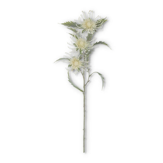 Head Flocked Thistle Stem with 3 blossoms