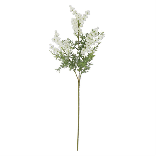 White Mini Burs & Fern Stem 27 inches