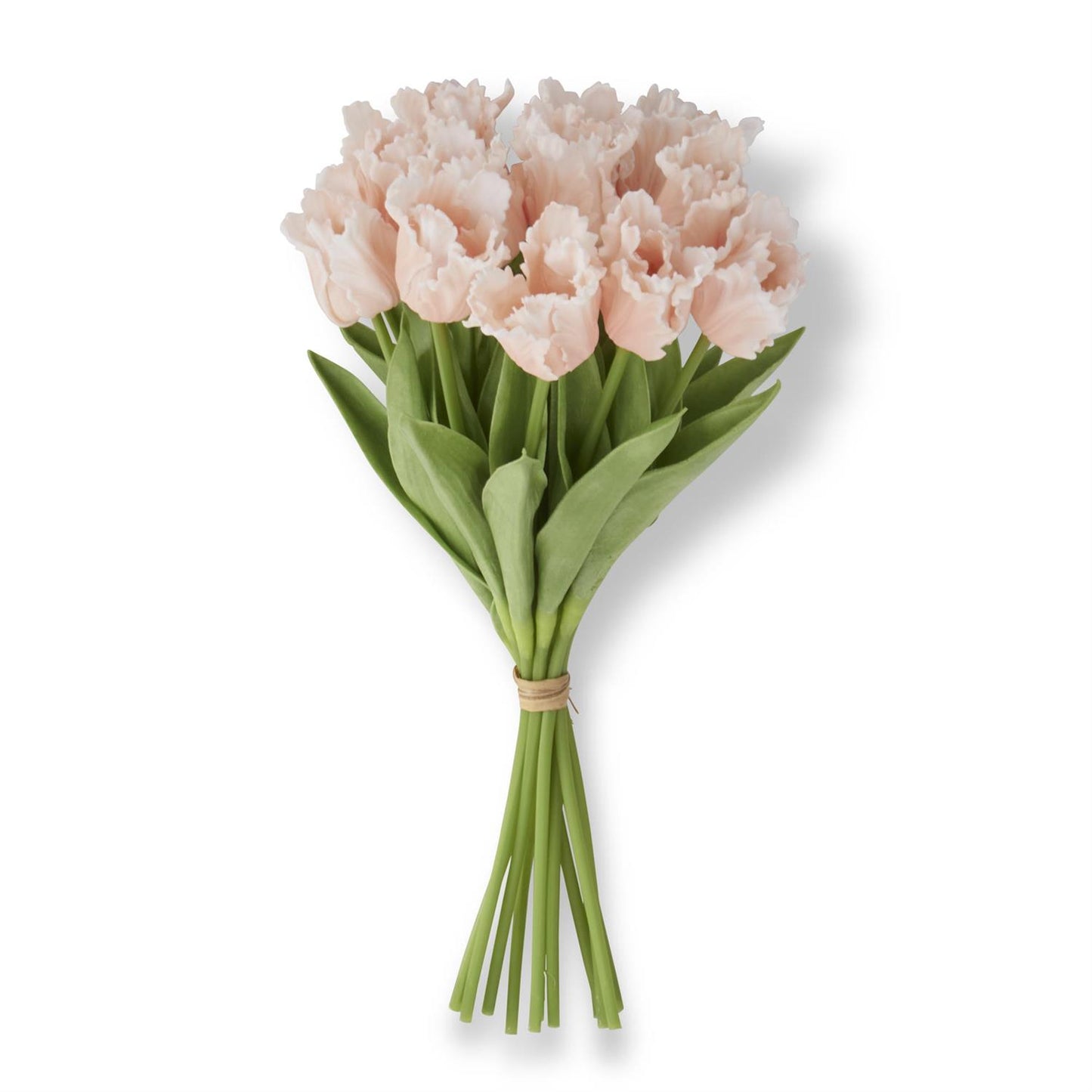 Light Peach Real Touch Parrot Tulip Bundle (12 Stems) 13 Inch