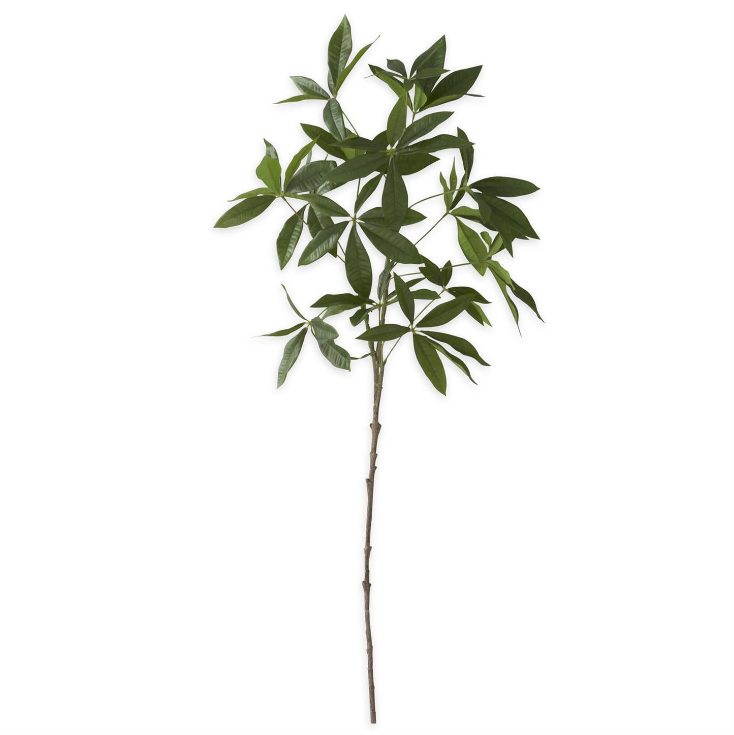 Money Tree Branch 36"