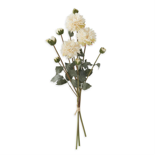 Cream Faux Dried Dahlia Bundle (3 Stems) 23"