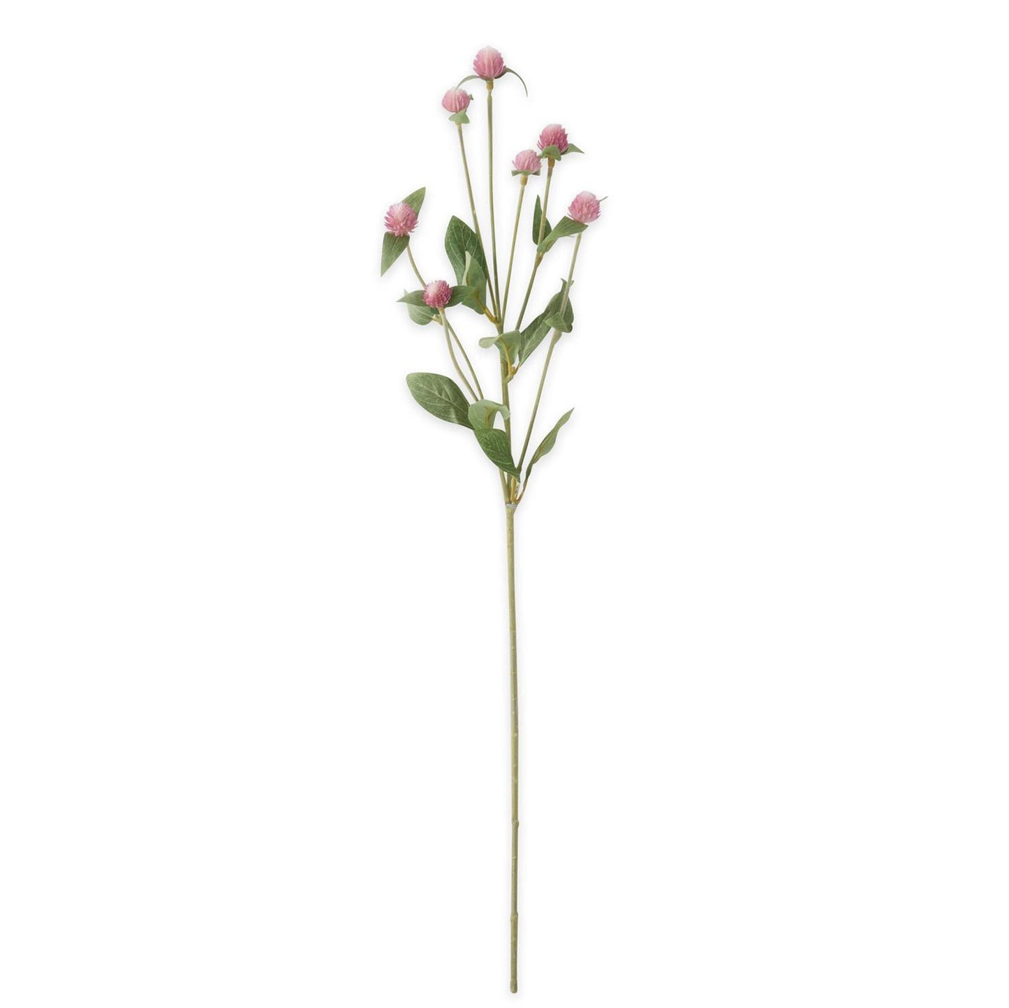  Pink Globe Amaranth Spray 28 inches