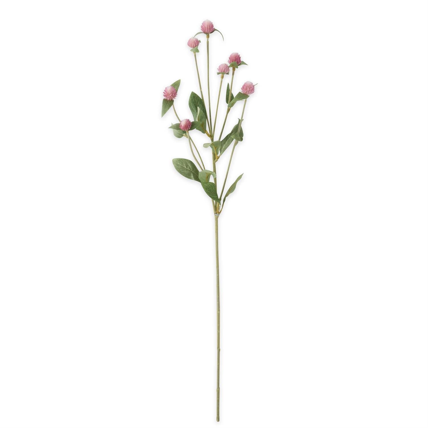  Pink Globe Amaranth Spray 28 inches
