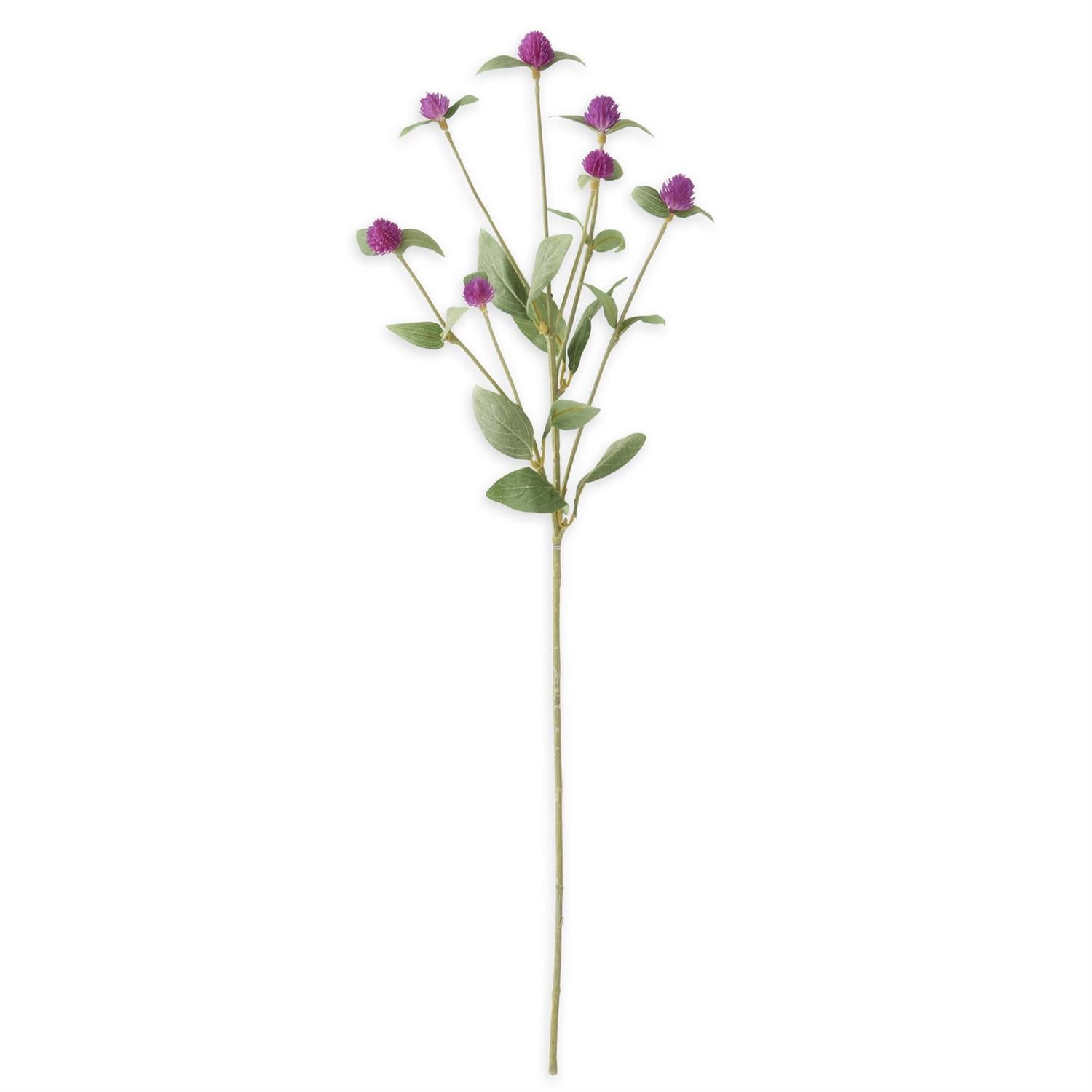 Purple Globe Amaranth Spray 28 inches
