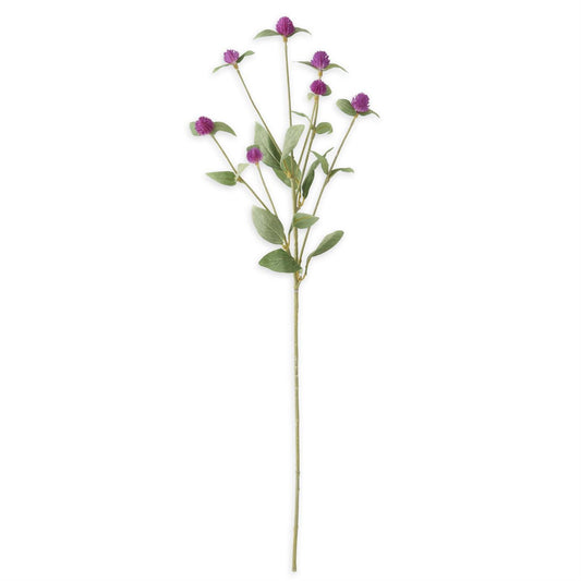 Purple Globe Amaranth Spray 28 inches