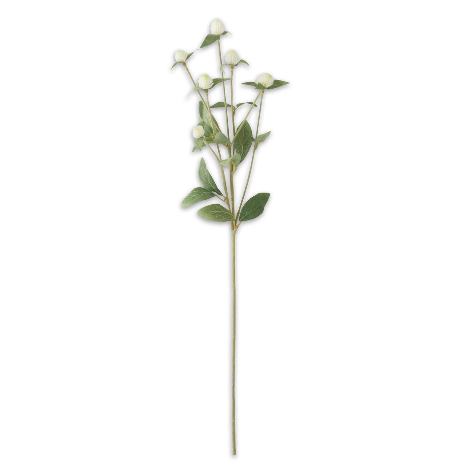 White Globe Amaranth Spray 28 inches