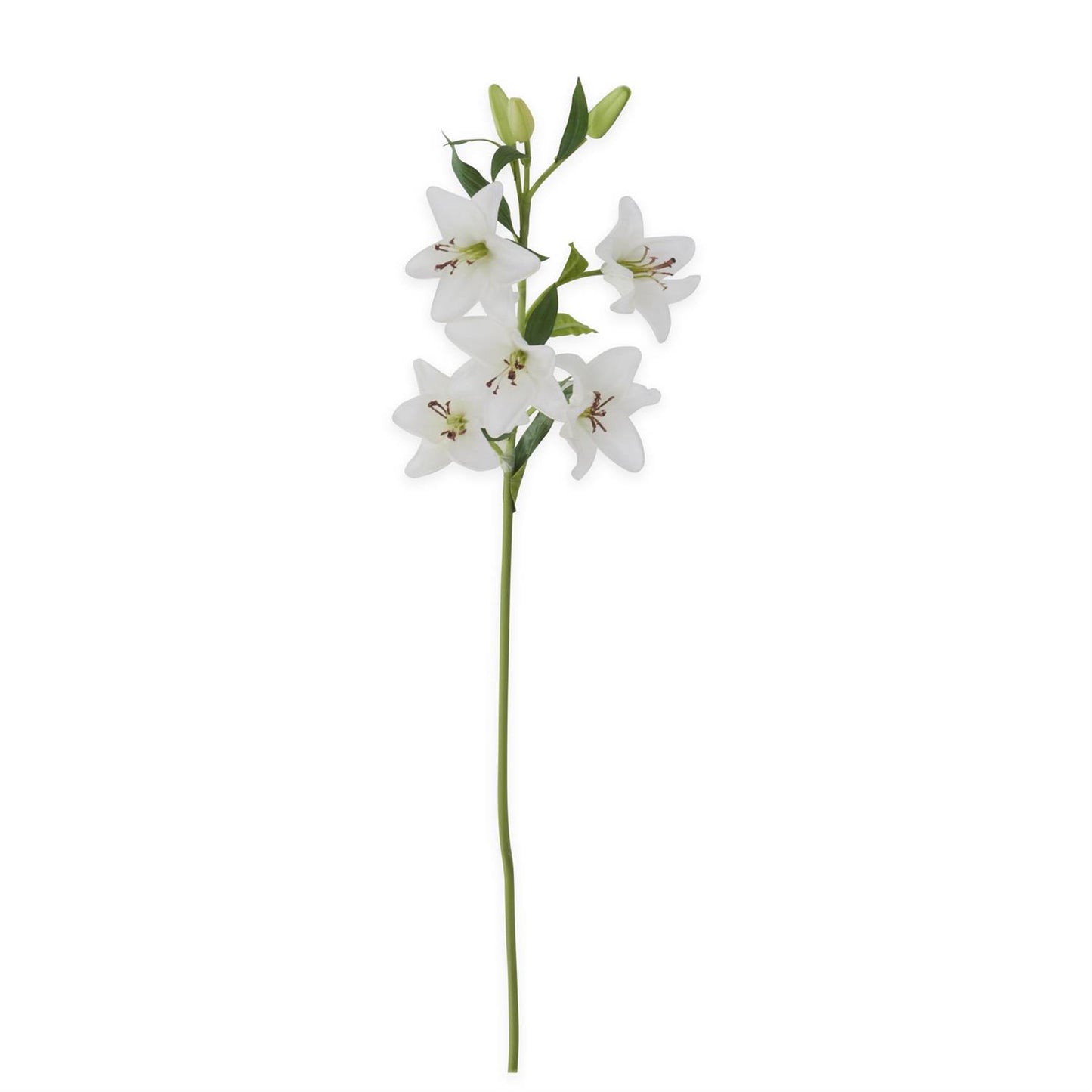 White Real Touch Lily 5 Blooms & 3 Buds Stem 30" 50% 0ff