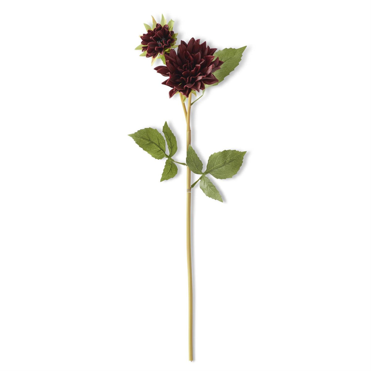 24 Inch Real Touch Burgundy Blossom & Bud Dahlia Stem