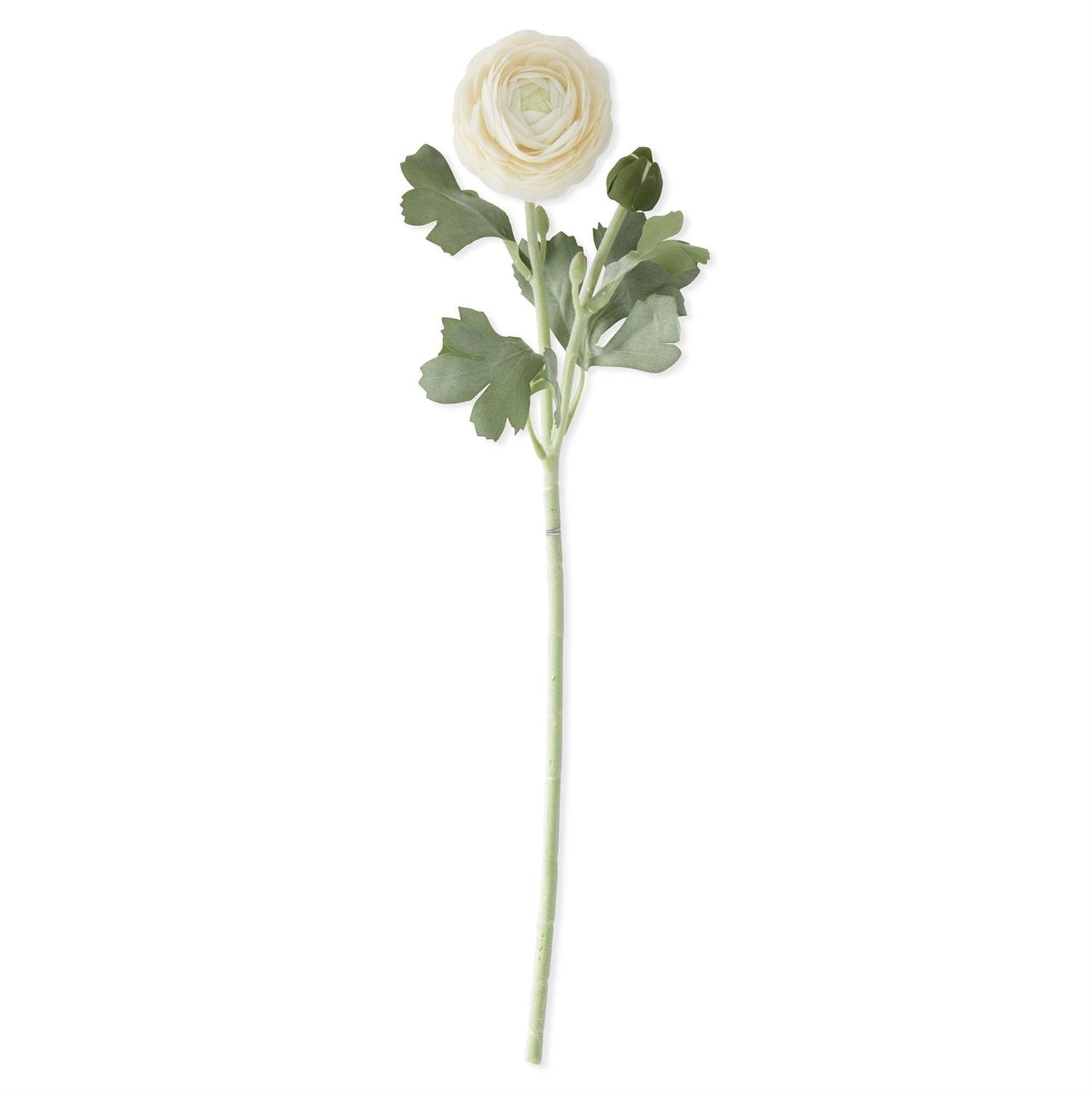 19.5 inch real touch cream ranunculus stem with lifelike bud and bloom detailing, perfect for wreaths, floral arrangements, and elegant neutral home decor"