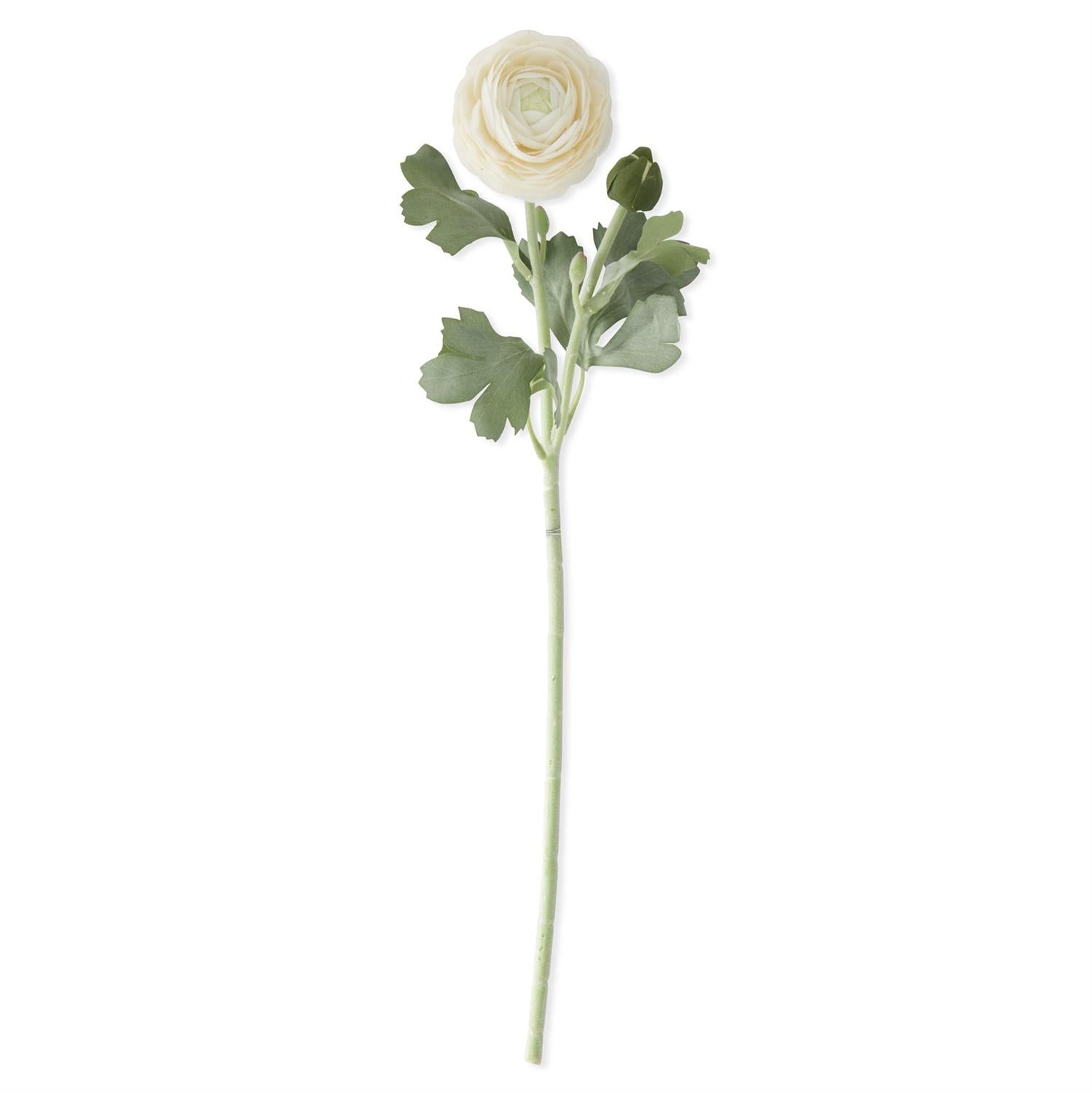 19.5 inch real touch cream ranunculus stem with lifelike bud and bloom detailing, perfect for wreaths, floral arrangements, and elegant neutral home decor"