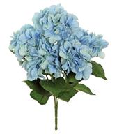 HYDRANGEA BUSH X5, 18"; 5" BLOOM, BLUE