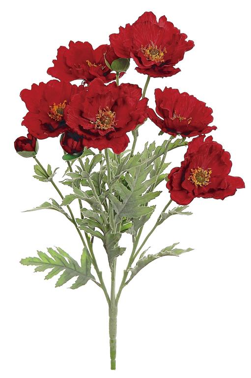 Red POPPY BUSH 6 Blooms