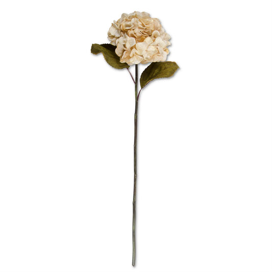 30-inch burnt cream hydrangea stem with two leaves for fall wreaths and floral arrangements