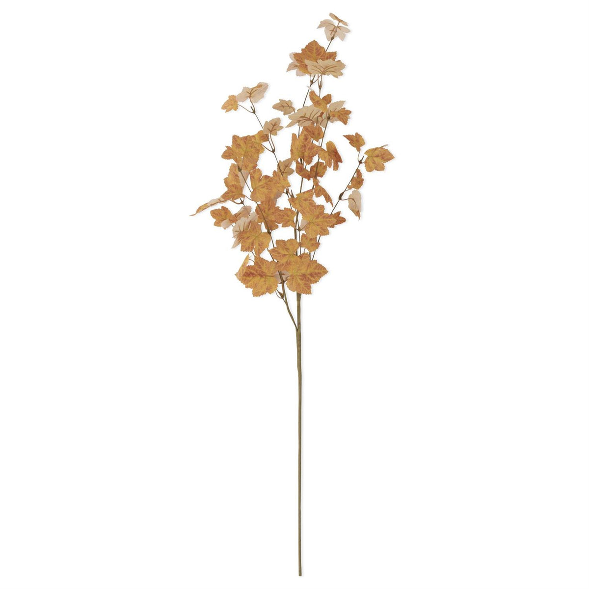 Orange Maple Leaf Stem